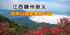 操逼视频免费网站